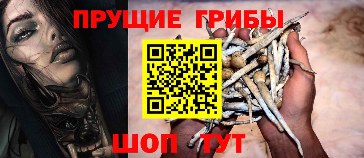 Псилоцибиновые грибы Psilocybe Клинцы